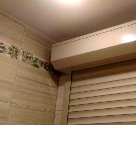 сантехнические роллеты - модель 2