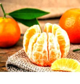 саженцы абхазских мандарин - вариант 1