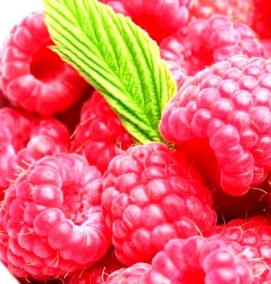 саженцы малины красная гвардия - вариант 2