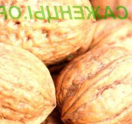 саженец грецкого ореха сорт идеал - модель 3