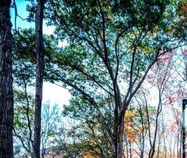 сборные китайские дома - тип 3