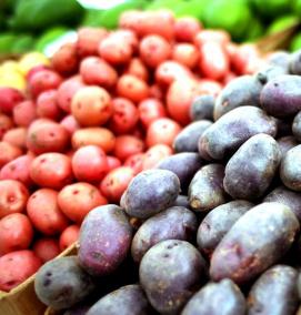 семена картошки - тип 1