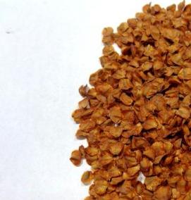 семена кедра - тип 3