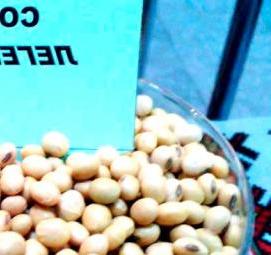 семена сои - модель 1