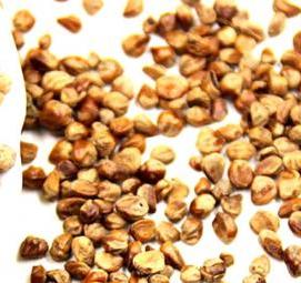 семена сосны - тип 4