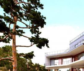 серое бревно - модель 3