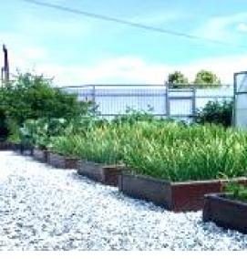 серые грядки - вариант 4