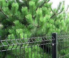 сетка металлическая оцинкованная сварная 15 на 15 мм - вариант 1