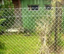 сетка оцинкованная сварная 15 на 15 мм 1.2 мм - вариант 2