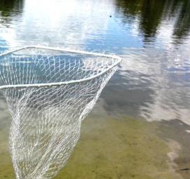 сетка с кормушкой для рыбалки - модель 3