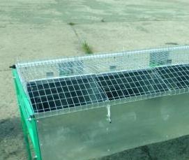 сетка сварная для клеток кроликов - вариант 4