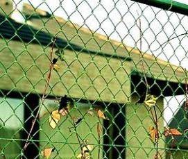 сетка сварная оцп - модель 2