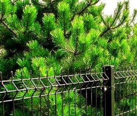 сетка сварная покрытая полимером - вариант 1