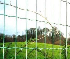 сетка сварная рулонная для забора - модель 3