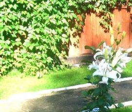 шатковские теплицы - вариант 3