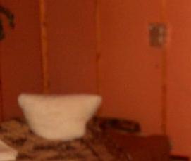 шатковские теплицы - вариант 2