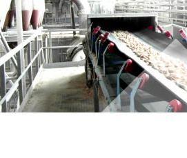 щебень 32703 2014 - вариант 4