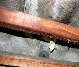 шифер 8 волновой бу - модель 1