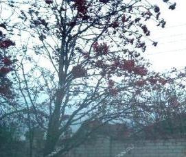 шлакоблок 75 - тип 3