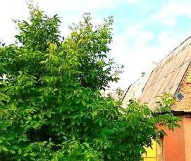 шлакоблок цокольный - тип 1