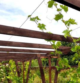 шпалера из металла - модель 4