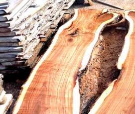 шпон Карагач - модель 2