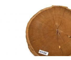 шпон круглый - тип 1