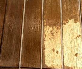 шпон морилка - вариант 1