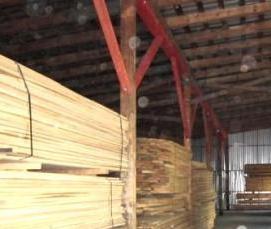 шпон Ольха - тип 2