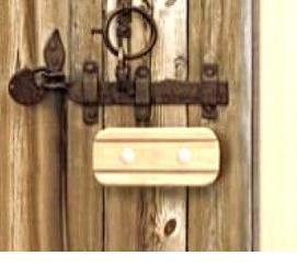 шпонированный противопожарные двери - вариант 1