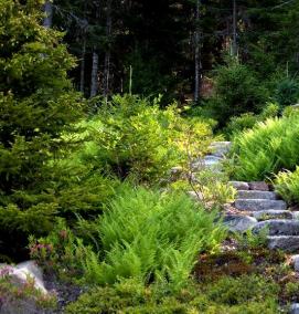 скандинавский ландшафтный дизайн - вариант 1