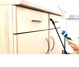 служба дезинфекции от тараканов - вариант 3