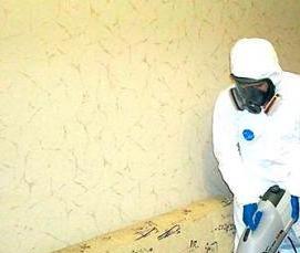 служба дезинсекции - тип 1