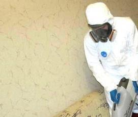 служба дезинсекции - тип 3