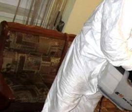 служба дезинсекции - тип 2