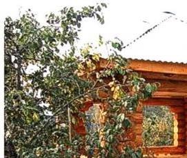 солнечная беседка для дачи - вариант 3