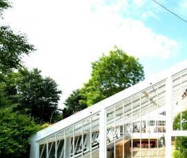 современные теплицы - модель 2