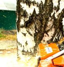 спил деревьев - тип 2