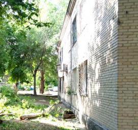 спил крупного дерева - модель 1