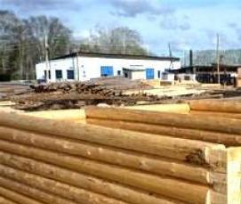 сруб бани 5х5 м - вариант 3