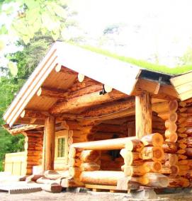 сруб из дикого бревна - вариант 1