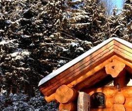 сруб из сибирского кедра - вариант 1