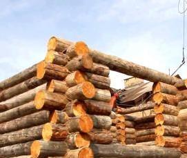 сруб из сосны - вариант 3