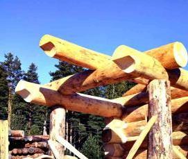 сруб «канадская чаша» - тип 2