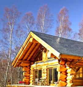 сруб - модель 3