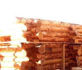 сруб в диком стиле - модель 4