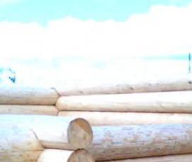 срубы из калиброванного бревна - вариант 4