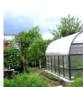 стеклянный парник - вариант 3