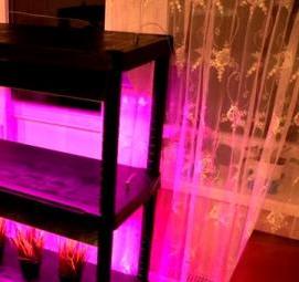 стеллаж для рассады с фитолампами - тип 2