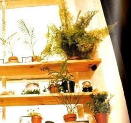 стеллаж на подоконник для рассады - вариант 1